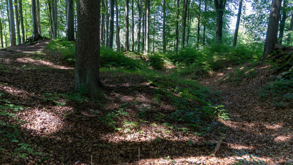 Auf dem Gipfelplateau der Heinzburg - Zeugenbergrunde Neumarkt