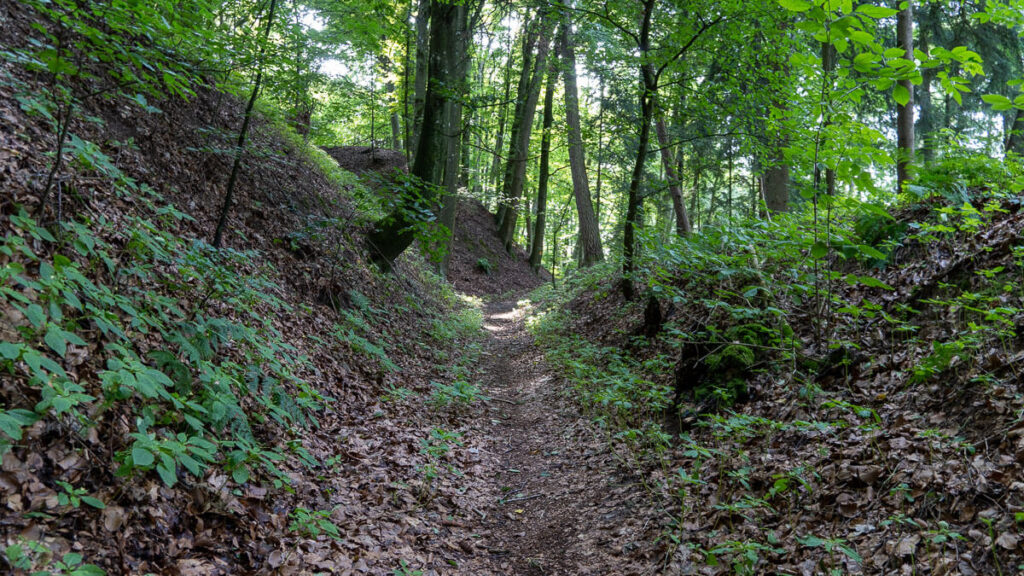 Wälle und Gräben des Burgstalls am Staufer Berg