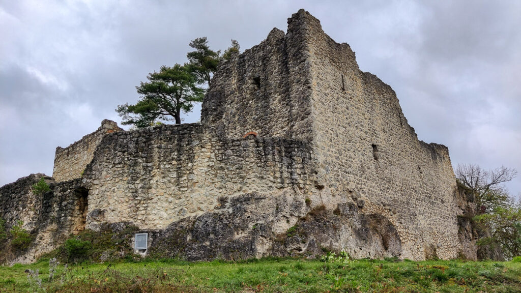 Blick auf Ruine Lichtenegg