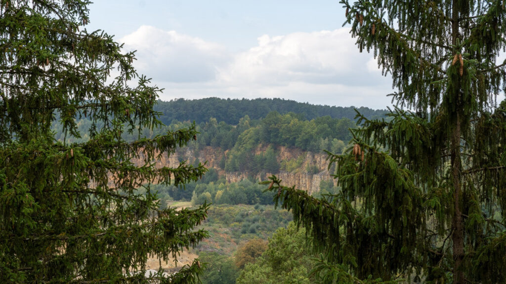 Blick auf alten Steinbruch durch die Bäume