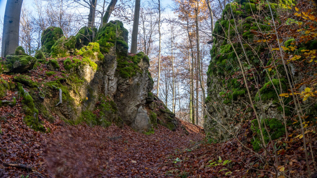 Felsen im Wald in der Hersbrucker Schweiz