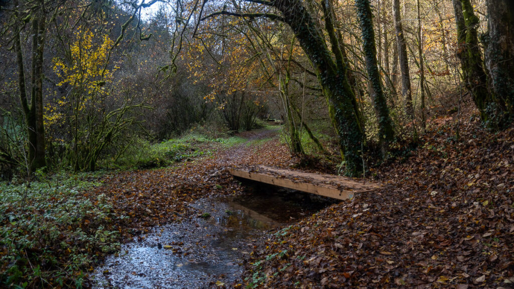 Kleine Brück am Harnbach