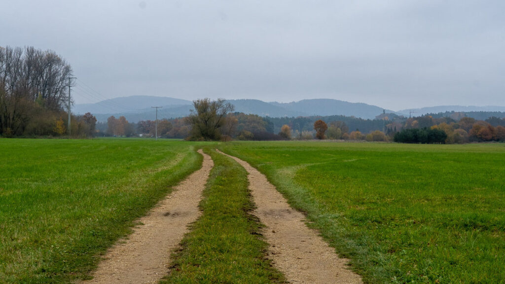 Feldweg durch Wiesenlandschaft, am Horizont die Hersbrucker Schweiz