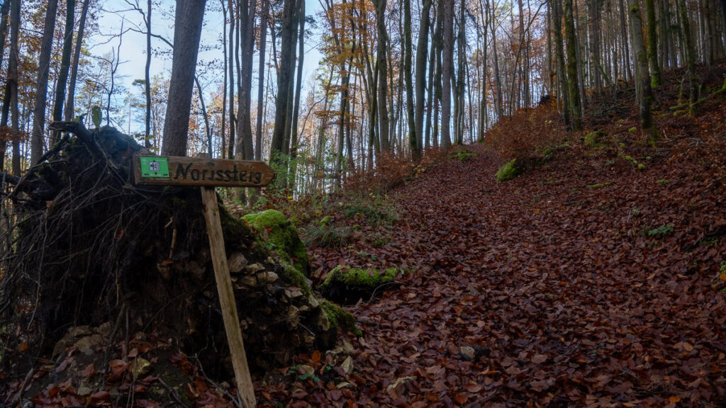 Anstieg im Wald mit Wegweiser "Norissteig"