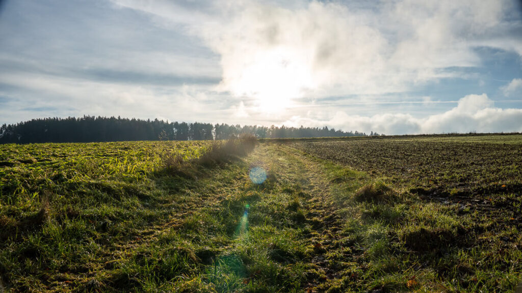 Wiesenweg in offener Landschaft mit Sonne hinter Schleierwolken auf dem Oberpfälzer Jakobsweg