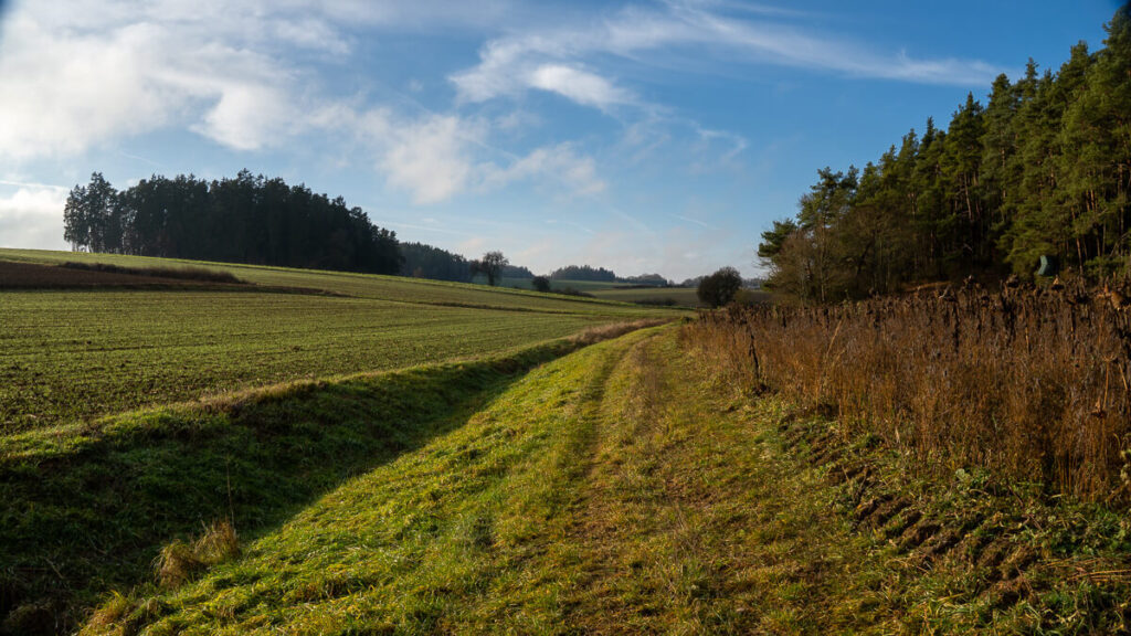 Winterliche Landschaft mit warmem Seitenlicht in offener Senke auf dem Oberpfälzer Jakobsweg