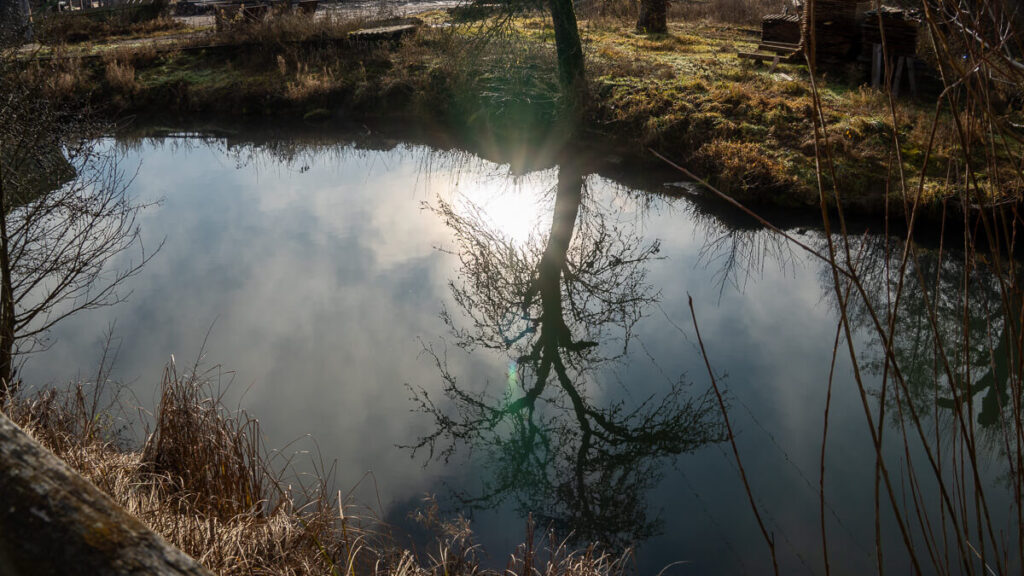 Spiegelung von Baum und Licht im ruhigen Wasser der Lauterach im Winter auf dem Oberpfälzer Jakobsweg