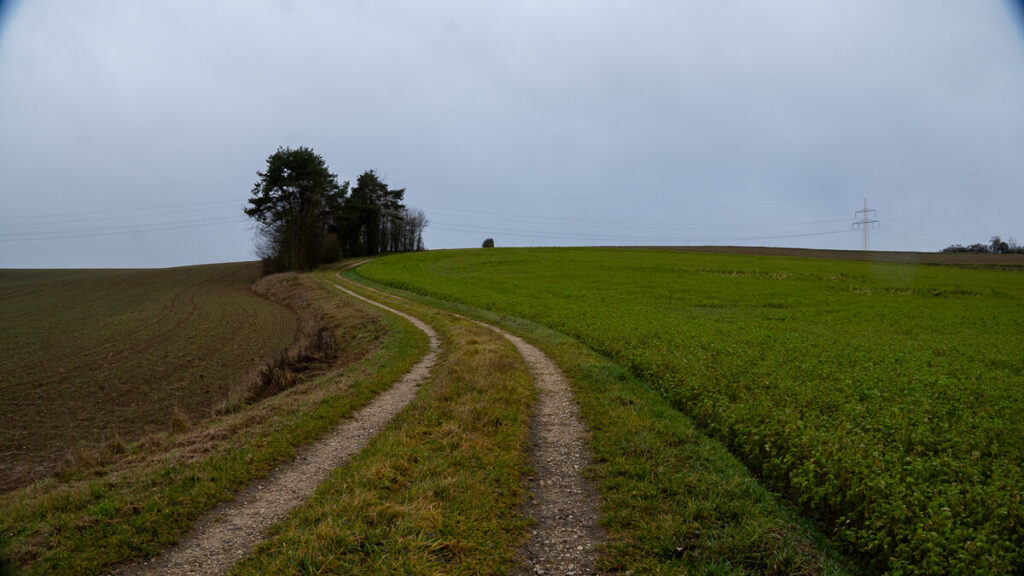Geschwungener Weg über eine Hochfläche zwischen Feldern im Winter auf dem Oberpfälzer Jakobsweg