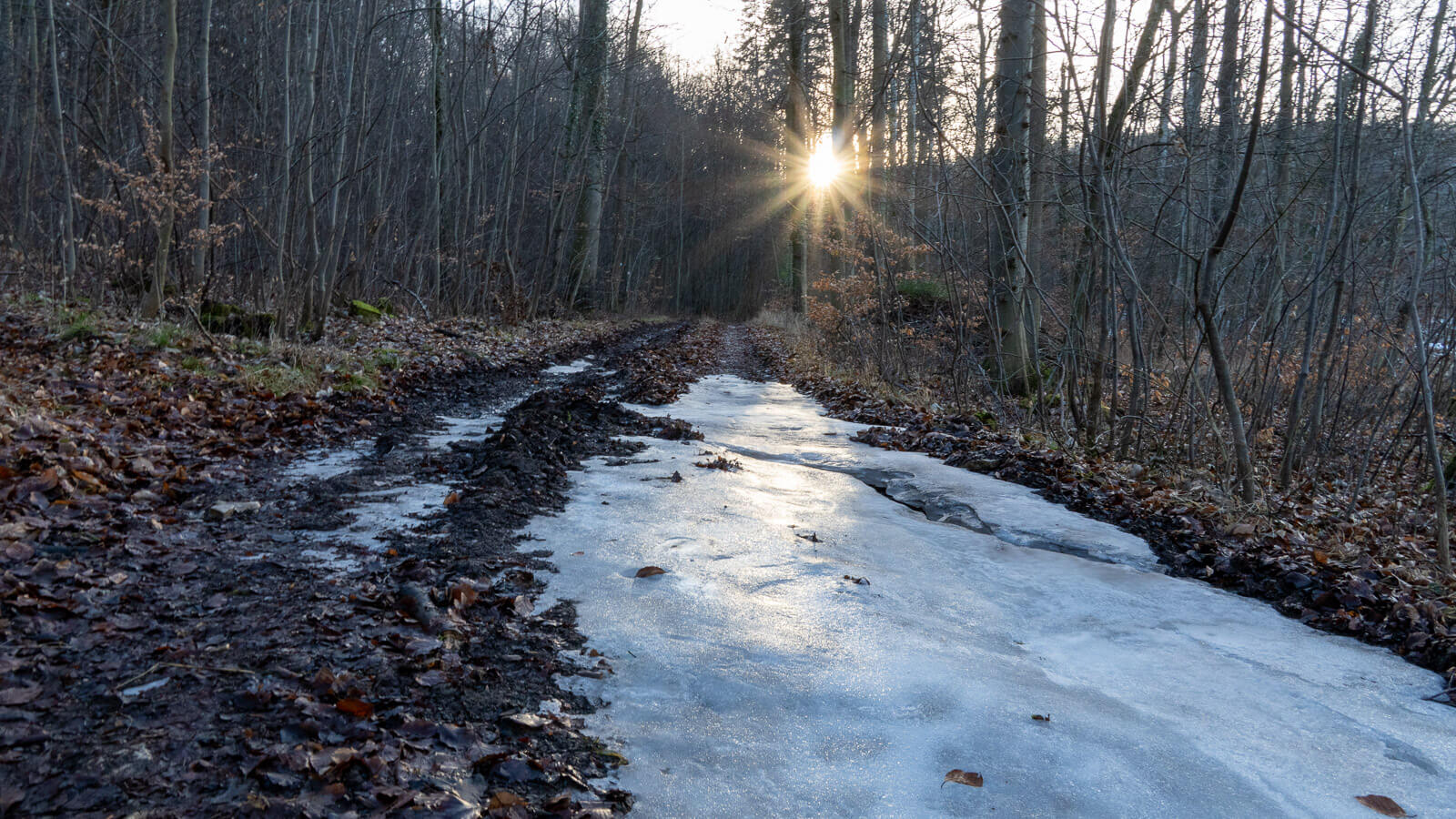 Winter im Übergang. Eisplatte auf matschigem Weg mit Sonnenstern zwischen Bäumen.