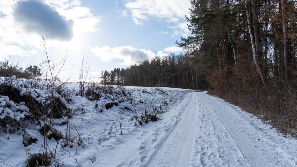 Verschneiter Winterweg.