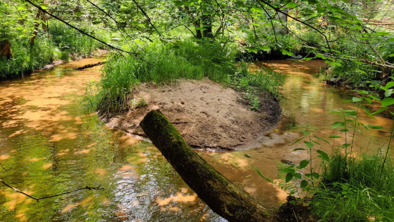Fränkischer Dünenweg: Schleife des Röthenbachs
