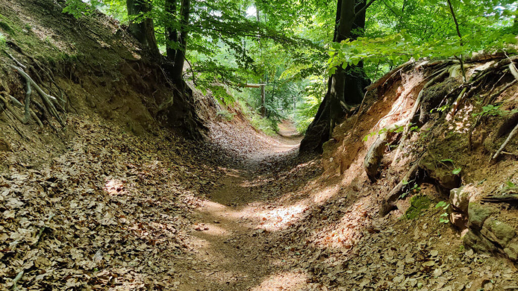 Hohlweg am Fränkischen Dünenweg