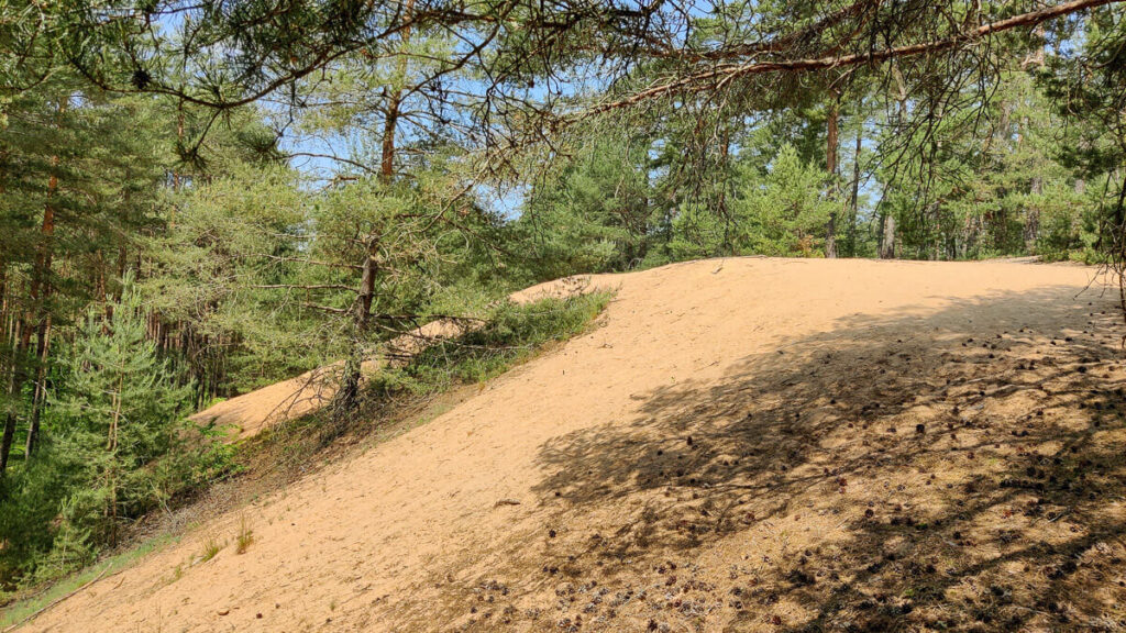 Sanddüne am fränkischen Dünenweg