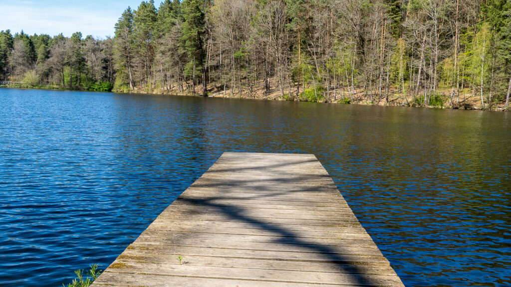 Holzsteg in den Hammerweiher bei Bodenwöhr.